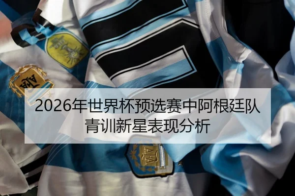 nian-shi-jie-bei-yu-xuan-sai-zhong-a-gen-ting-dui-qing-xun-xin-xing-biao-xian-fen-xi-2-309.jpg